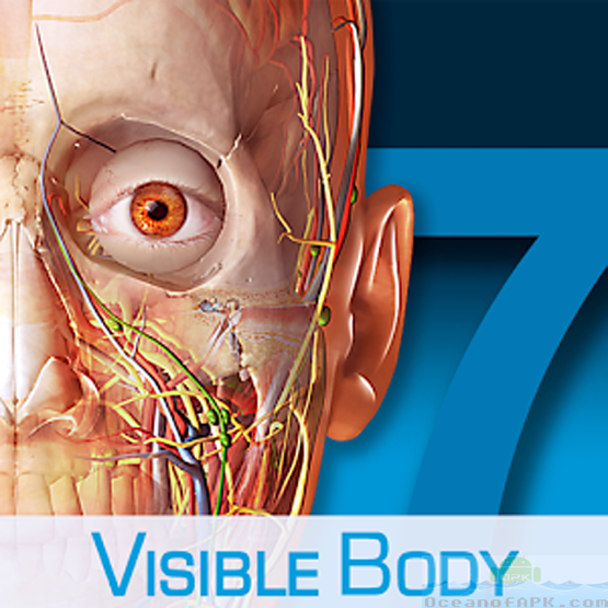 visible body human anatomy atlas